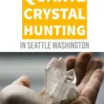 How to hunt for and dig your own quartz crystals on the hansen creek trail near seattle.