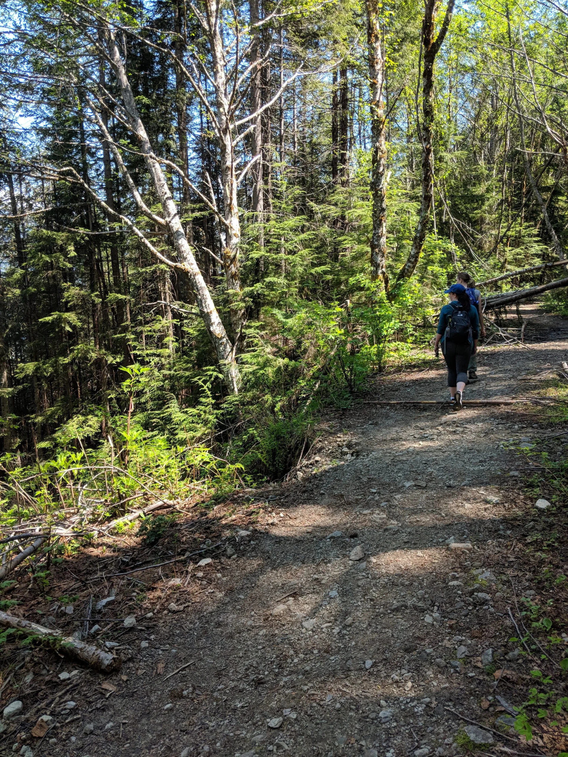 Hiking the trail to dig our own crystals in the cascade mountains