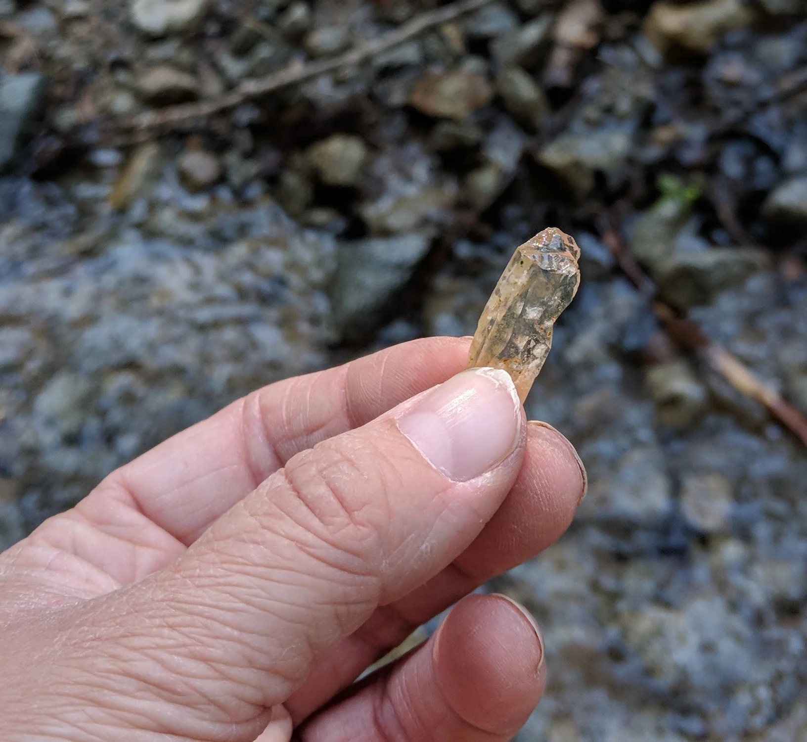 Hh seattle crystal hunting hike 19 b