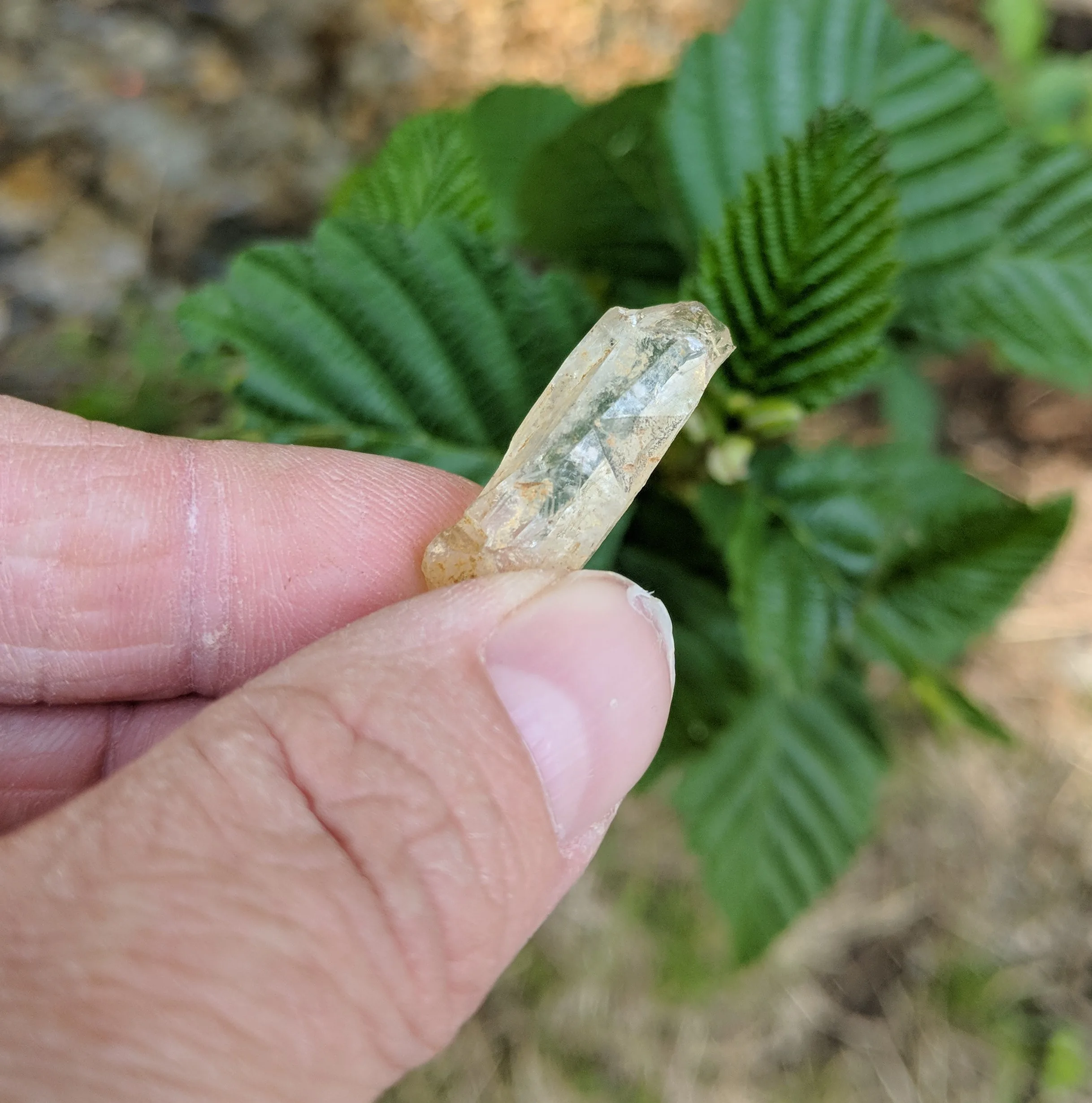 Fingers holding crystals dug from the ground near this trail.