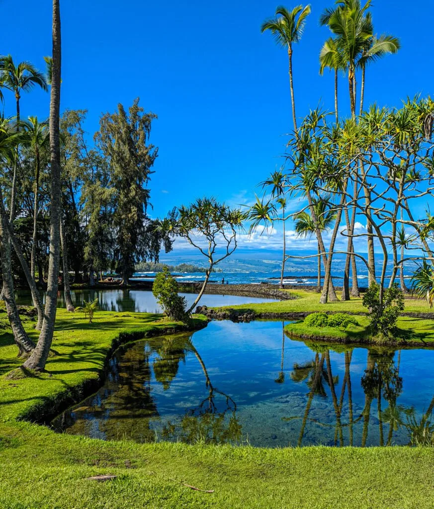A tropical tide pool in hilo, hawaii.