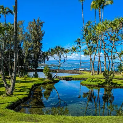 Six things to pack in your hilo, hawaii, packing list