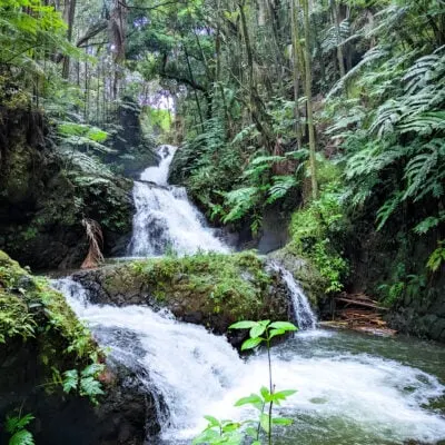 3 hacks for thriving in humid travel destinations