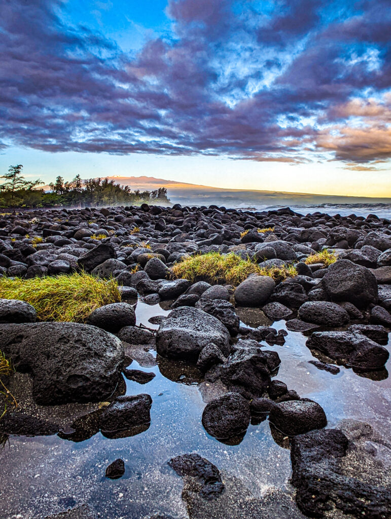 Rocks and grass in a tidal zone in hawaii.