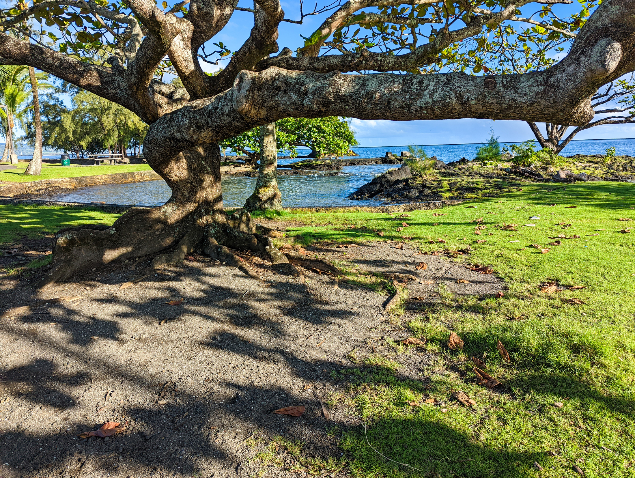 The shoreline of coconut island in hilo, hawaii