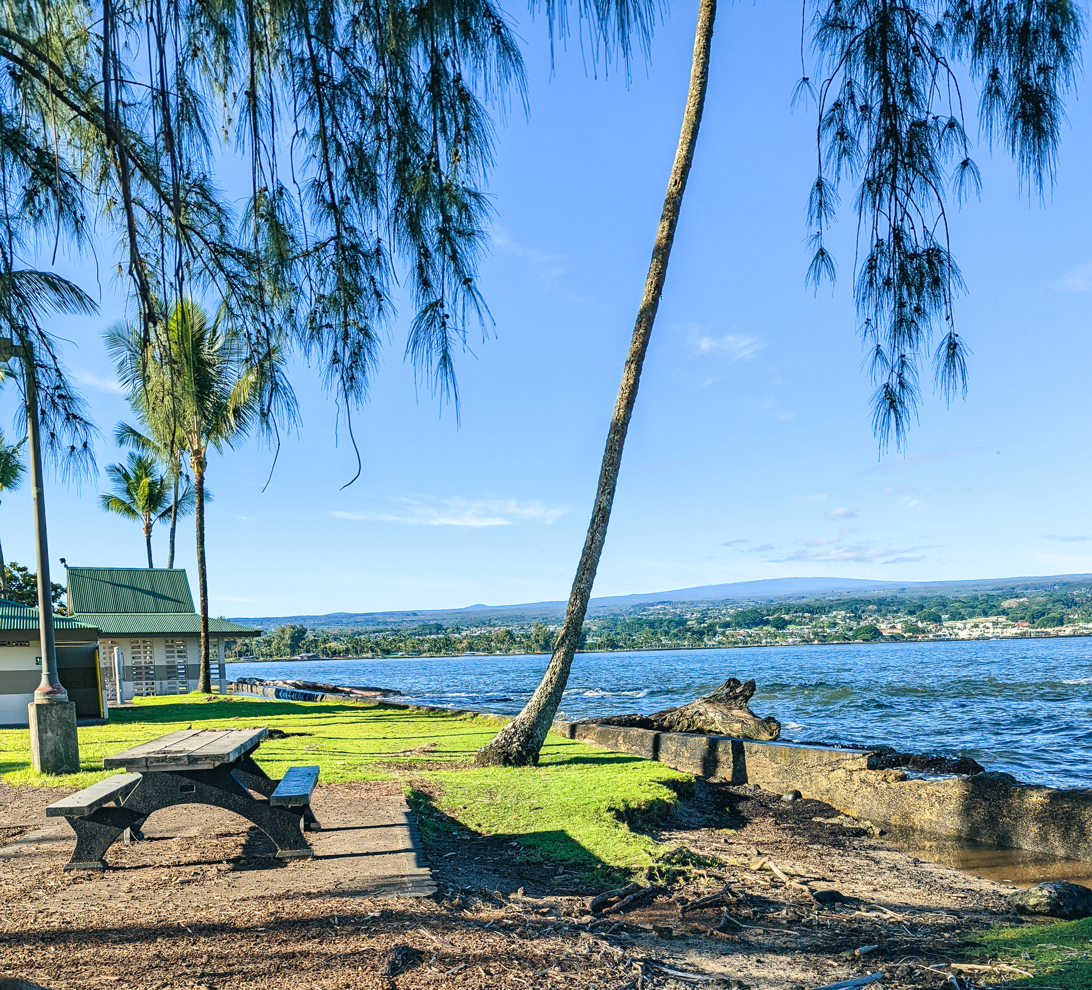 A view of the big island's coast from hilo hawaii's coconut island