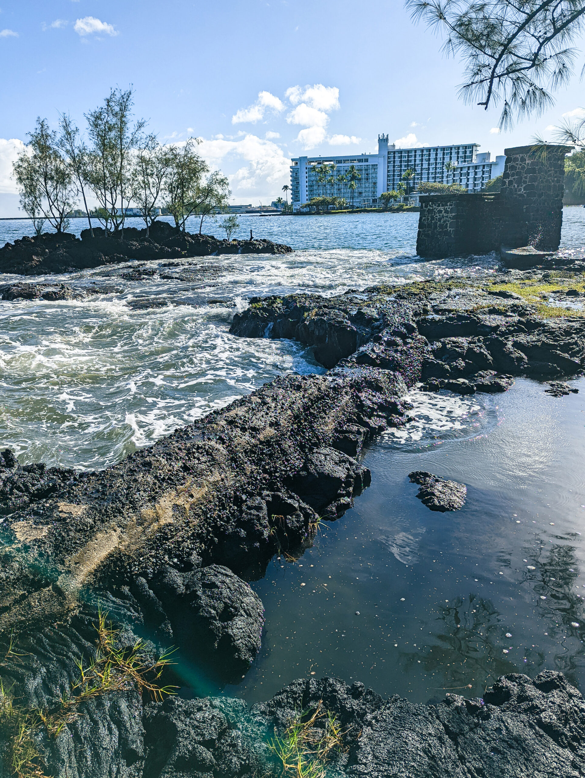 Hilo hawaii's coconut island