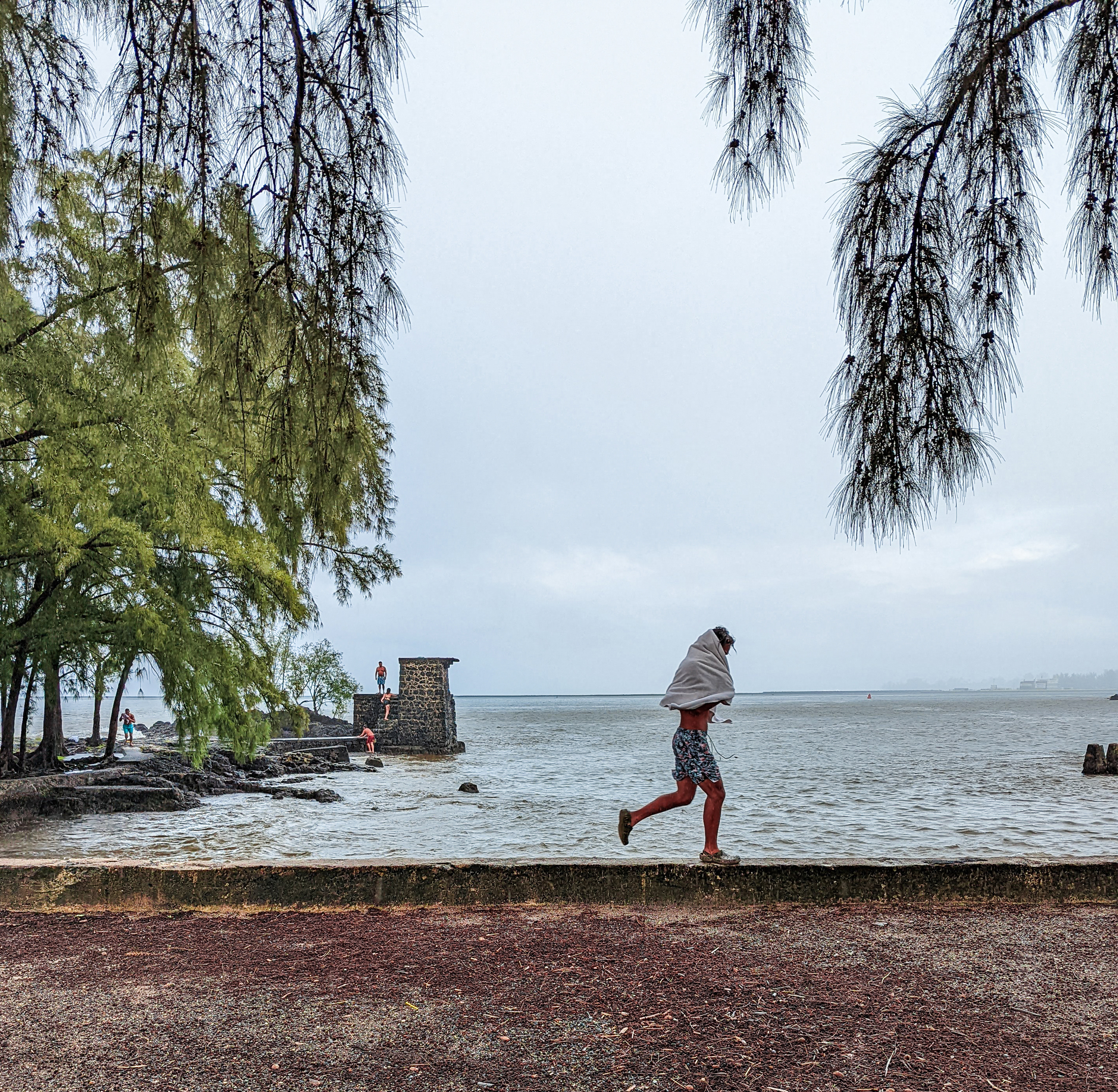 Wb hawaii hilo coconut island 62
