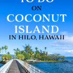 The bridge to hilo's coconut island.