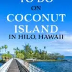 The bridge to hilo's coconut island.