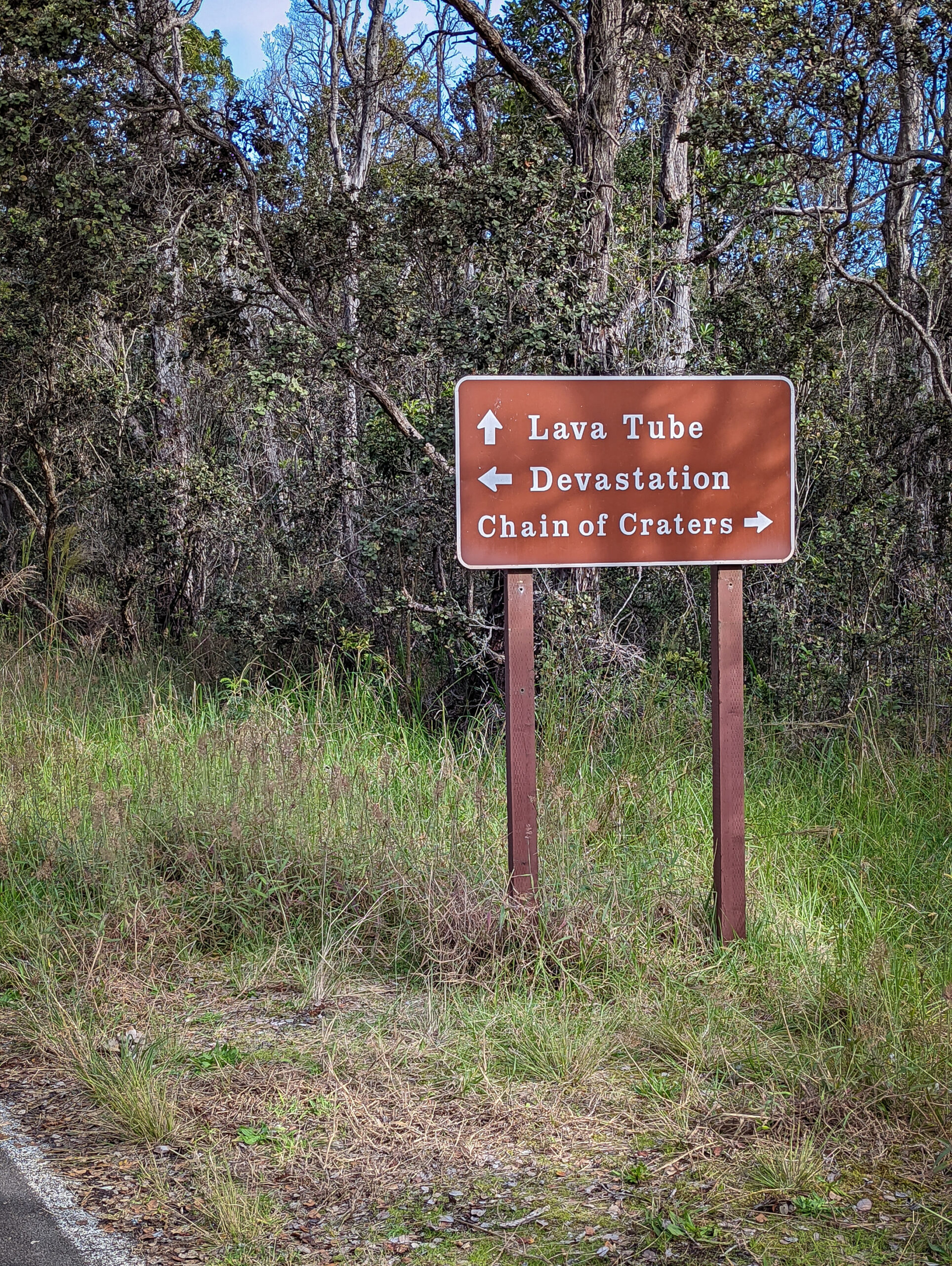 A landscape photograph taken of the lava fields at hawaii volcanoes national park..