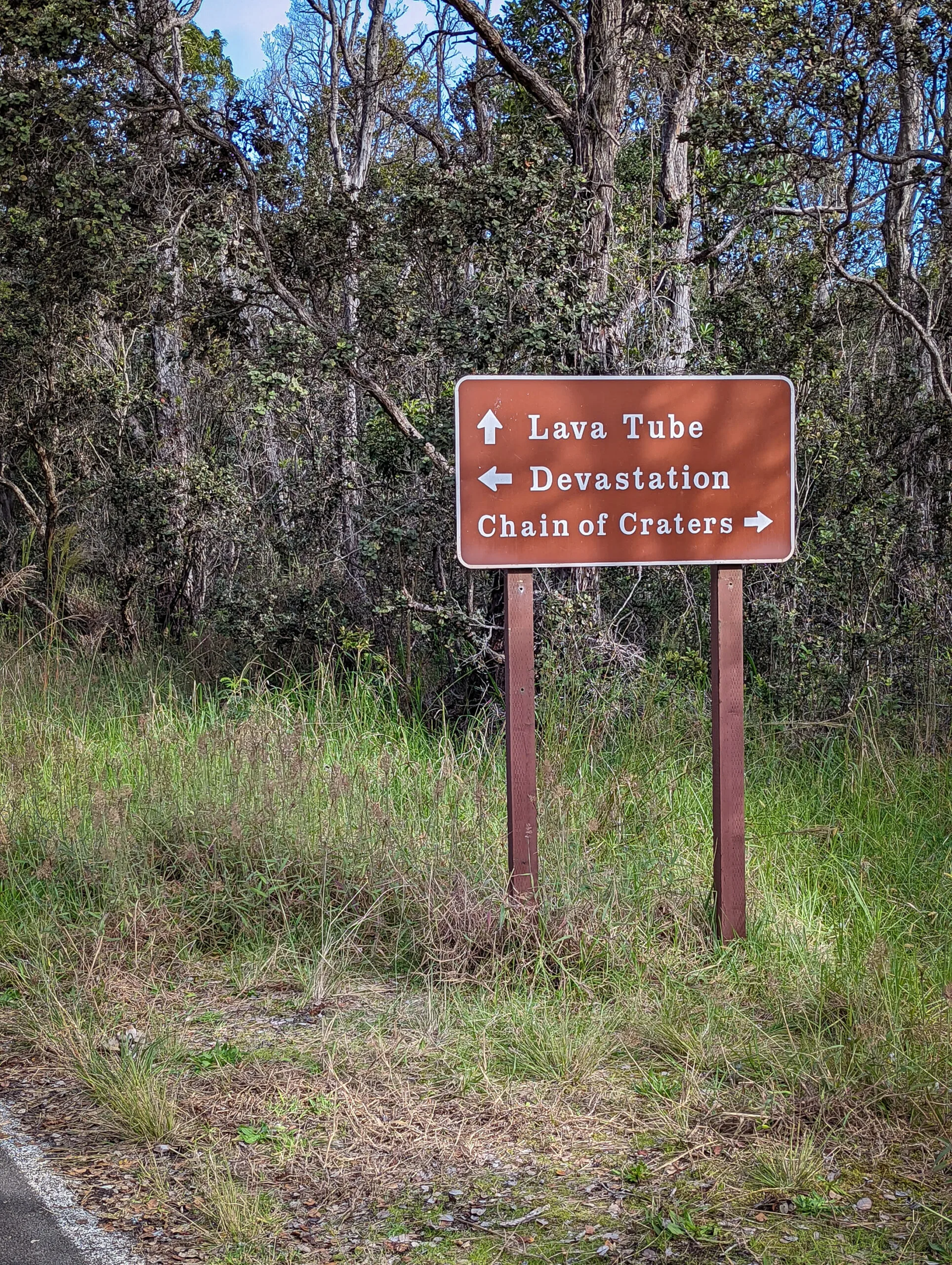 A landscape photograph taken of the lava fields at hawaii volcanoes national park..