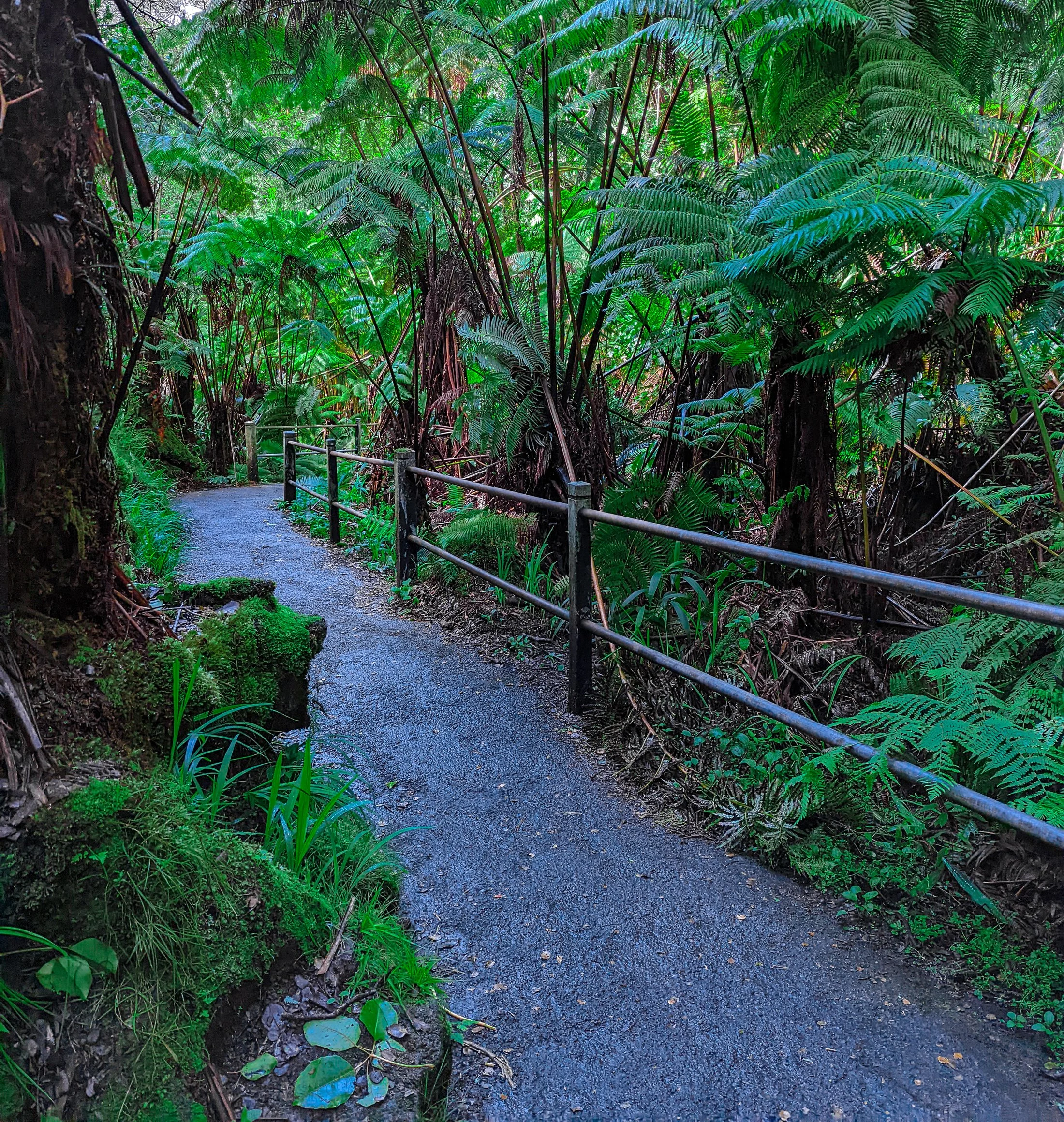 Wide open paved walkways at hawaii volcanoes national park..