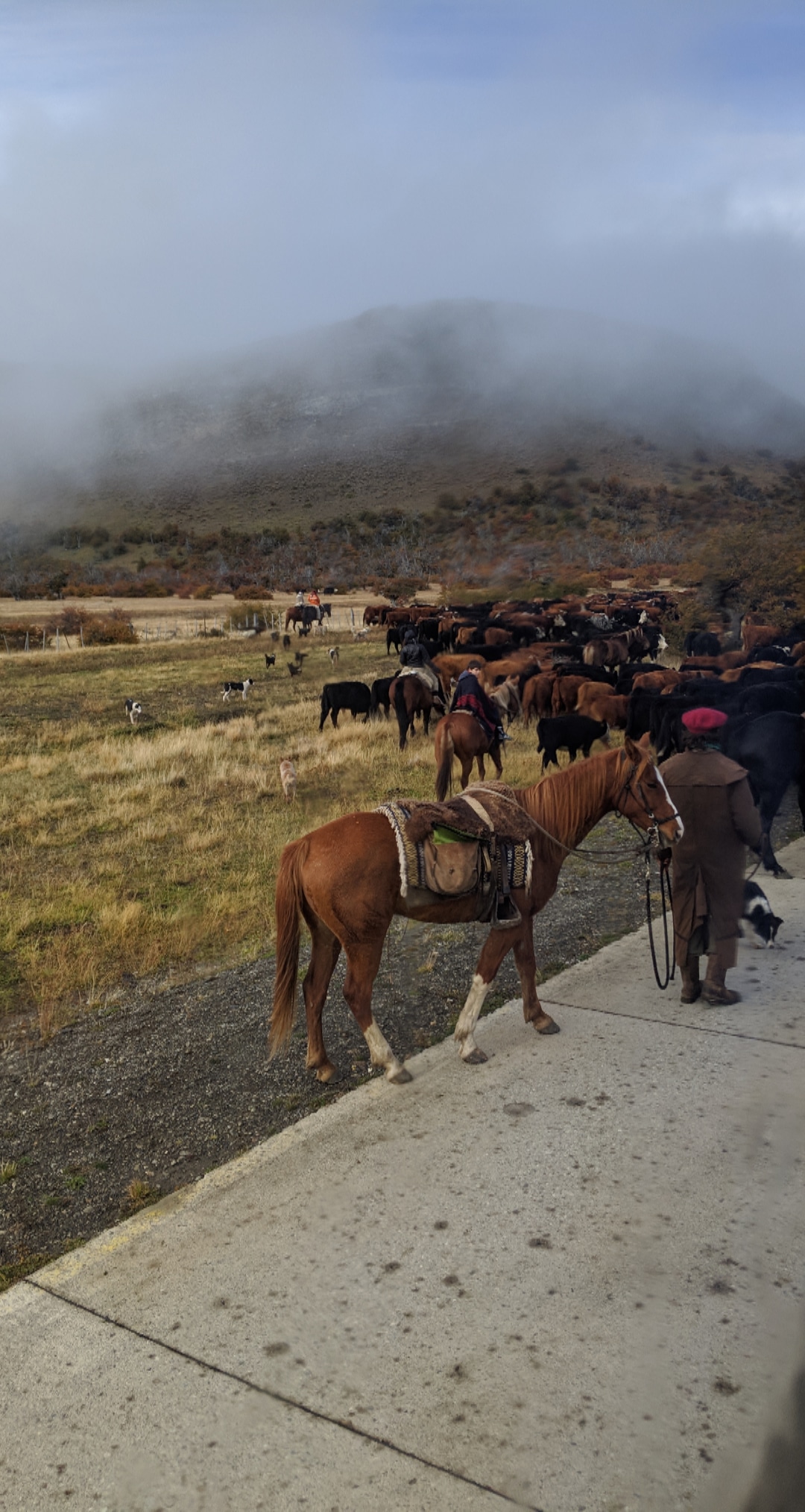 Near the border in argentina.