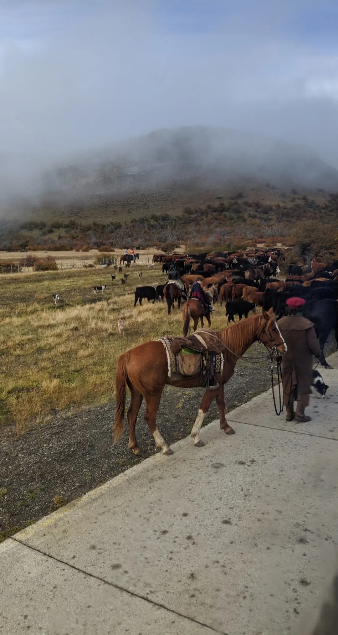Near the border in argentina.