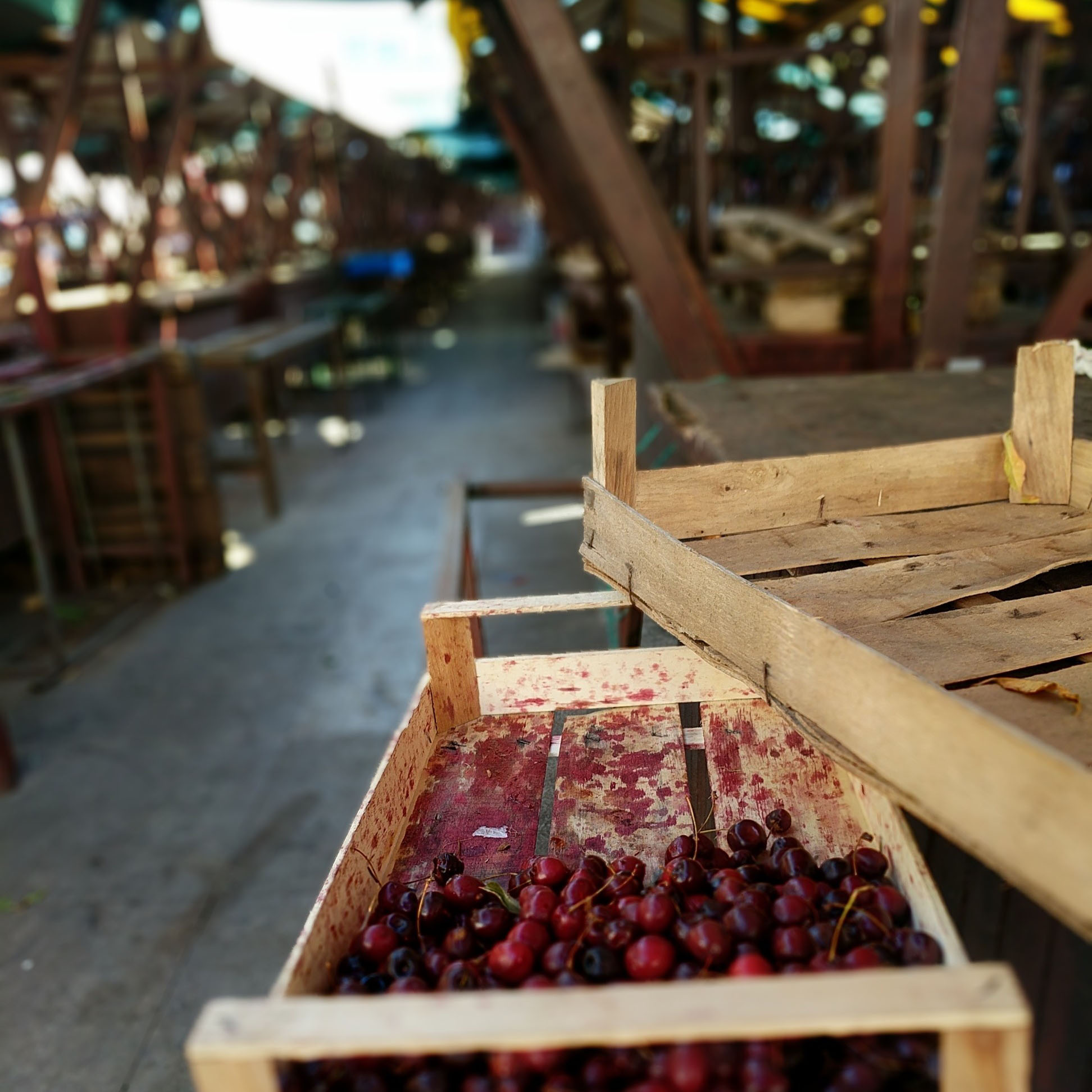 Cherries for sale at a market in zadar croatia.
