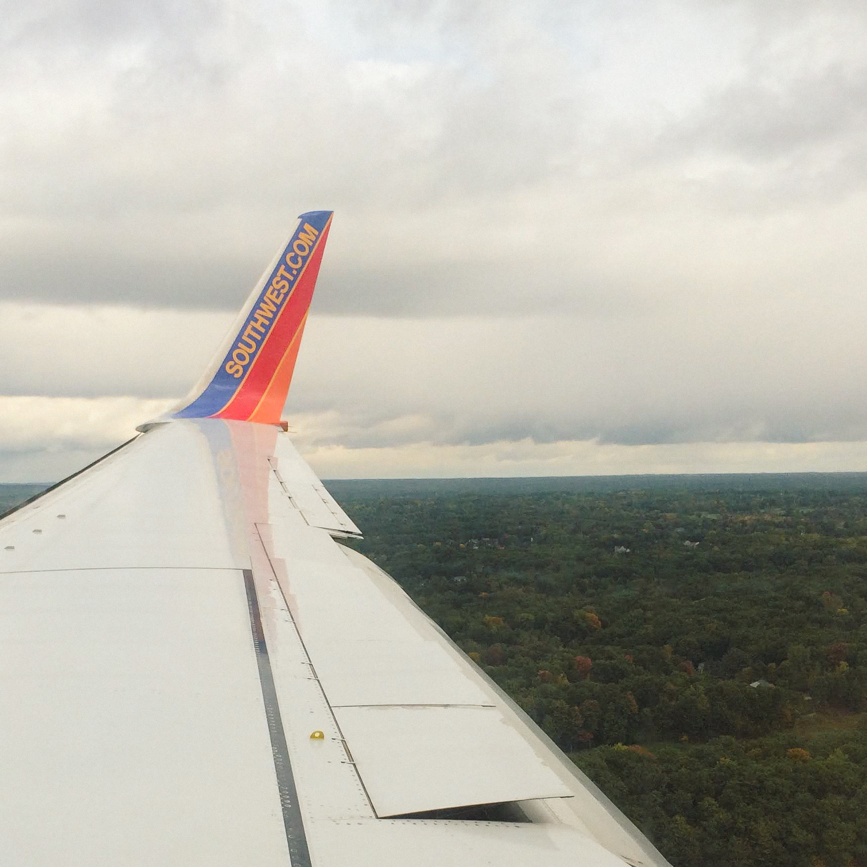 A wing of a southwest jet as seen from the seat of a customer of size.