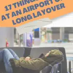 Wb long layover pin