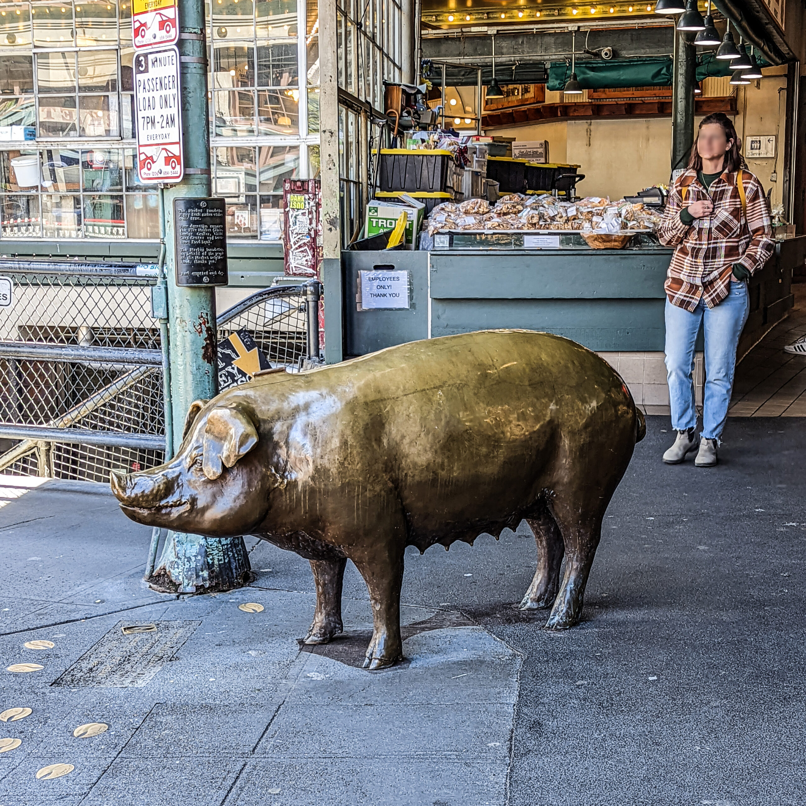 Rachel the bronze pig at pike place market is a market icon.