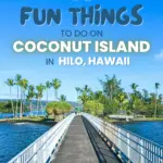 Fun things to do on coconut island.
