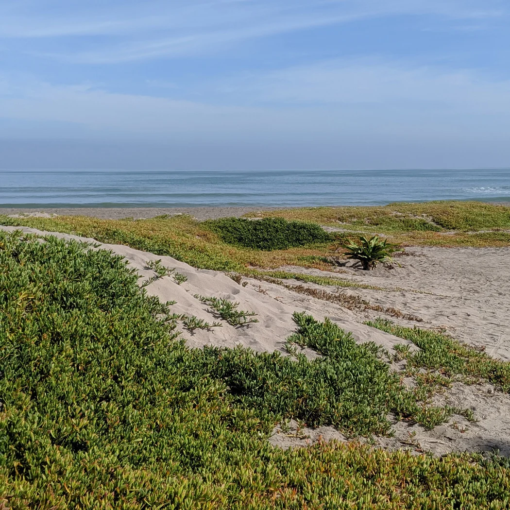 An image of the coastline near a arica chile where the attic, desert meets the pacific ocean.