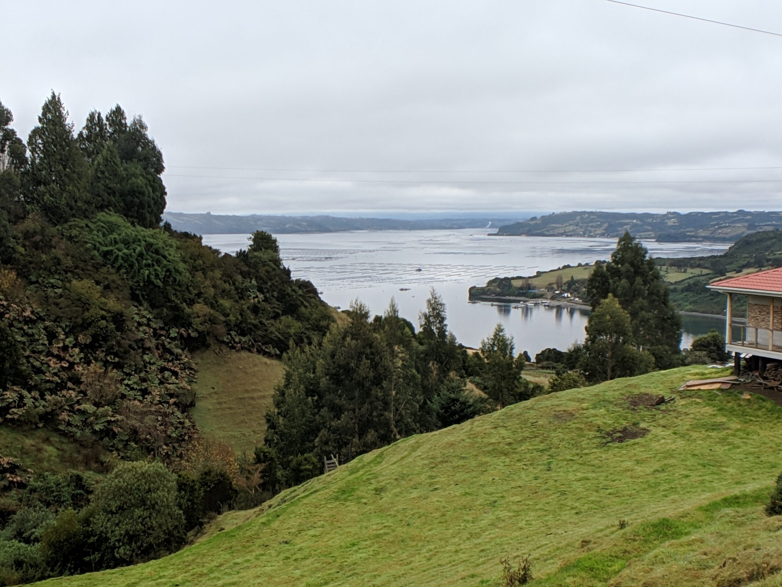A scenic view on chiloe island.