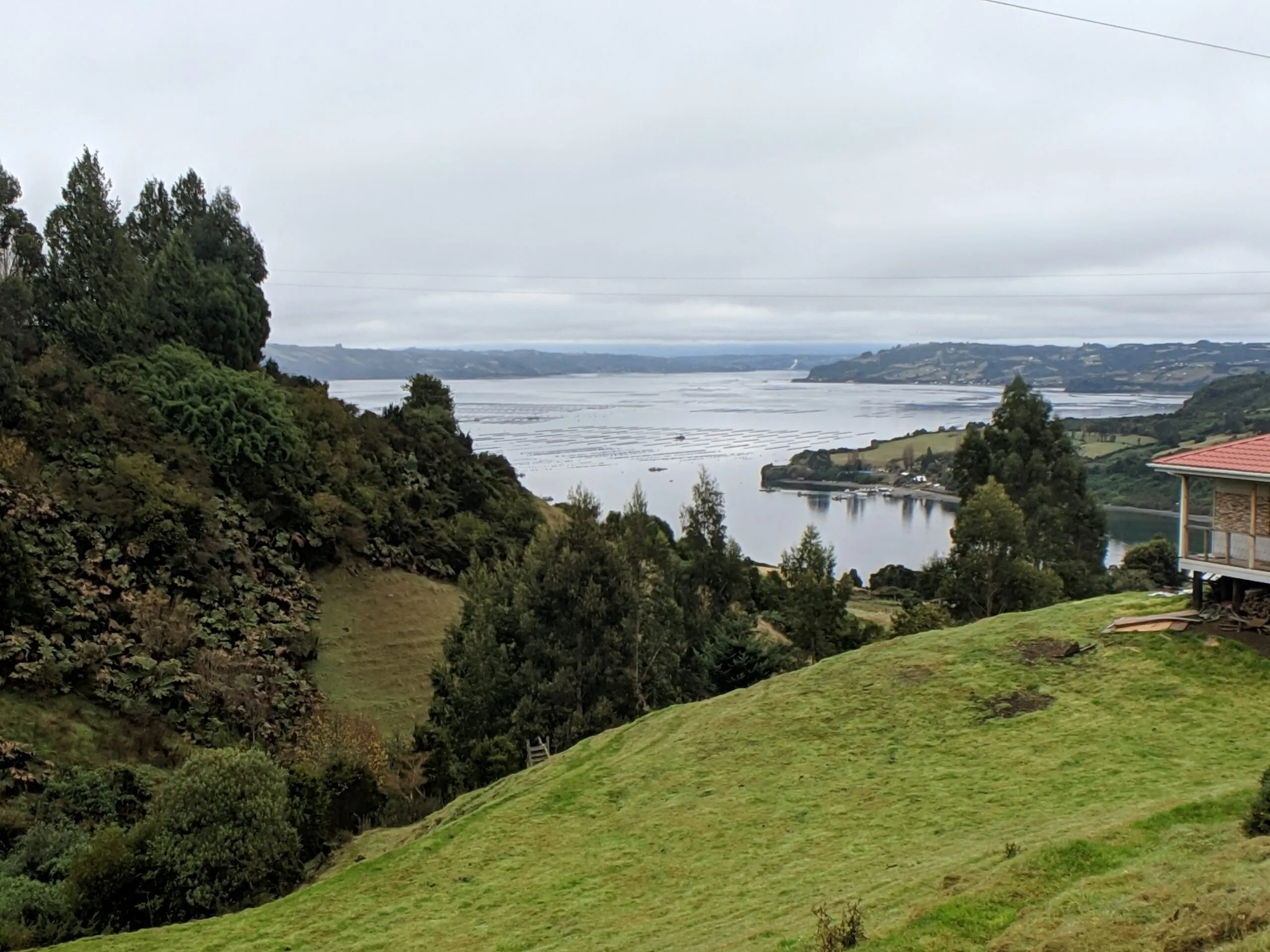 A scenic view on chiloe island.
