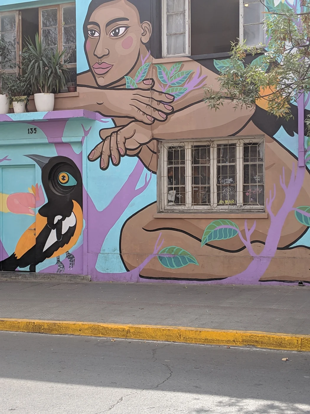 A mural in santiago showing a woman's body.