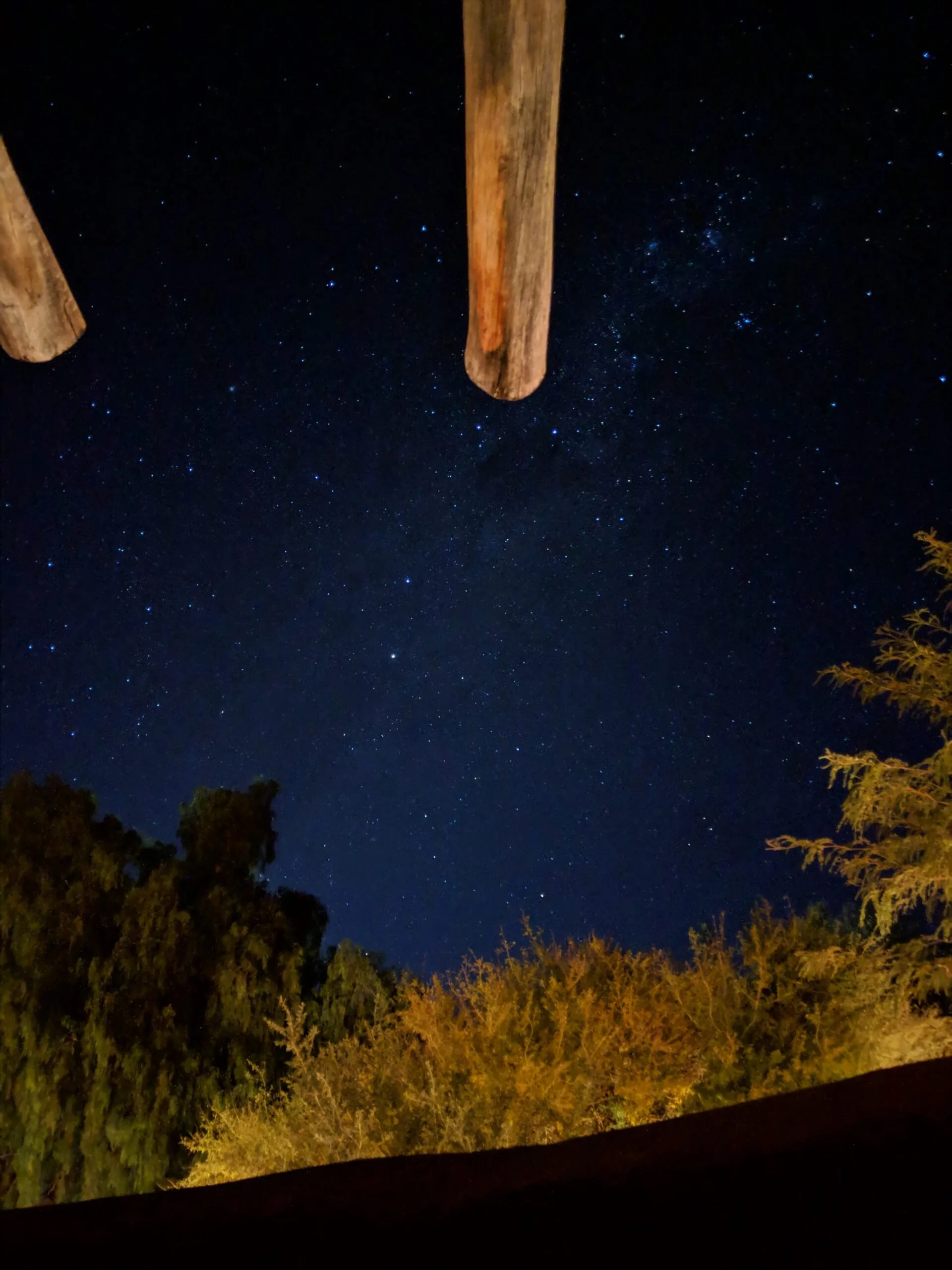 Stars in the atacama desert, as shot by my pixel's night sight mode.