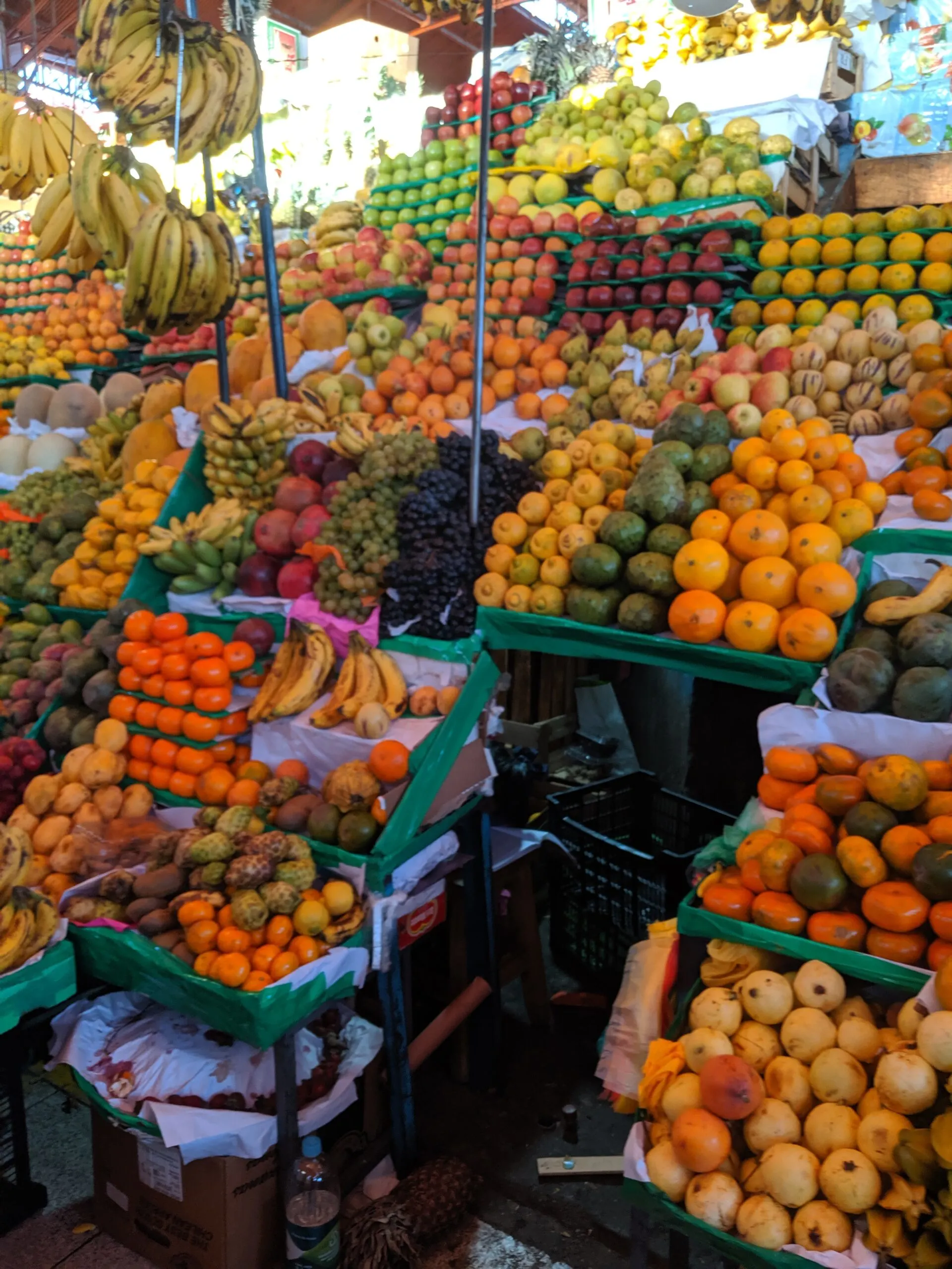 Chilean open market produce.