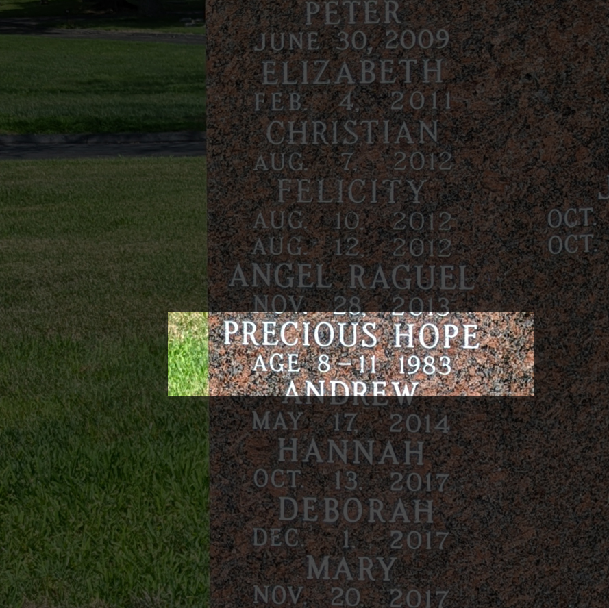 St louis jane doe grave marker with name precious hope in calvary cemetery in saint louis..