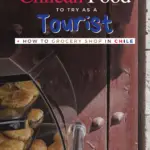 9 best types of chilean food to try as a tourist + how to grocery shop in chile text on image of chilean empanadas