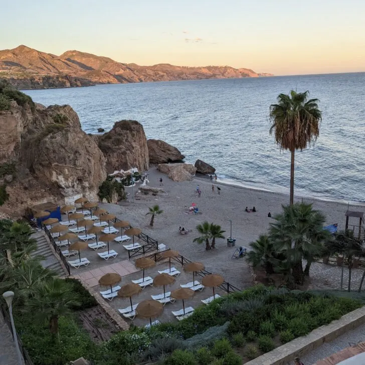Loungers on a beach with palm trees