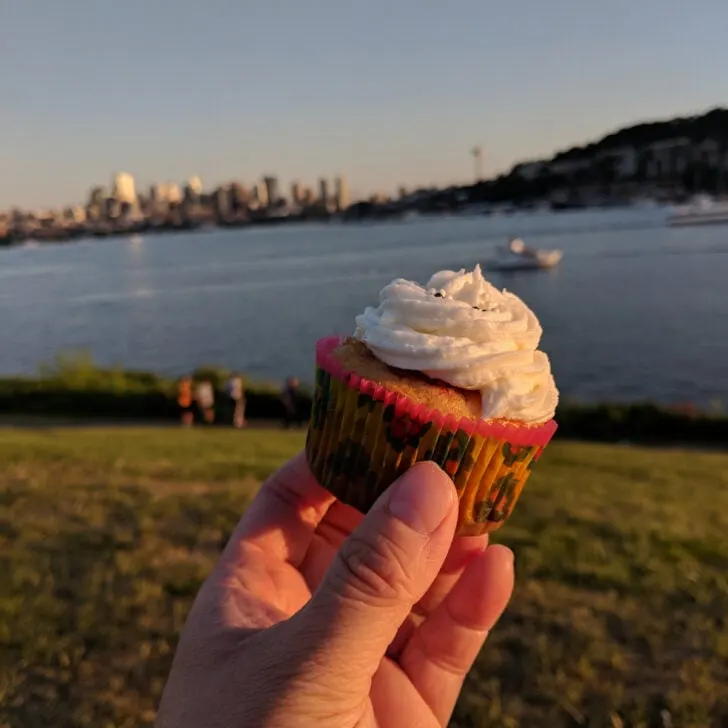 A cupcake being eaten in gasworks park in Seattle.