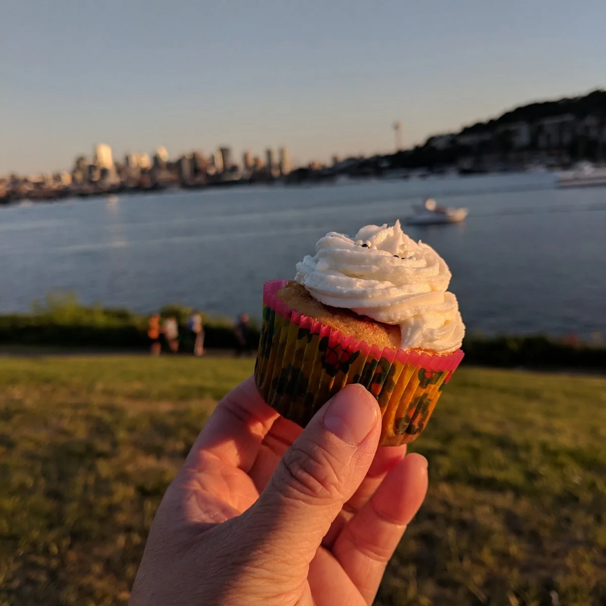 A cupcake being eaten in gasworks park in seattle.