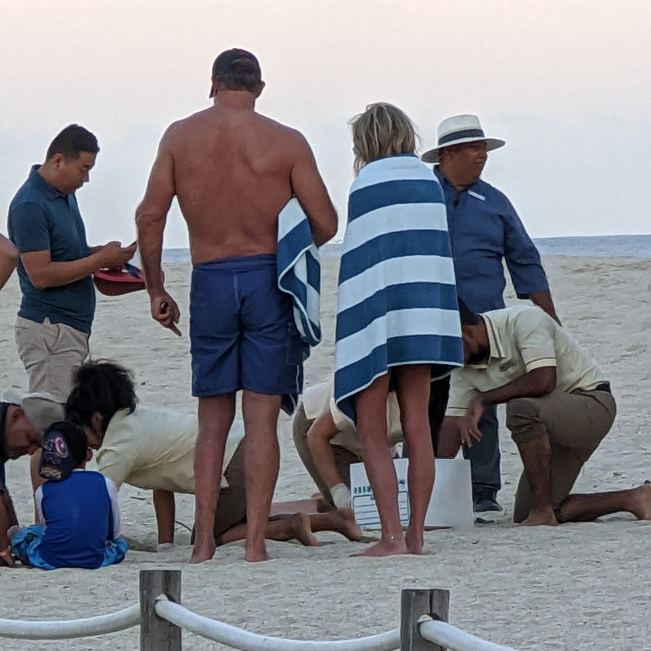 Beach goers watch a sea turtle release.