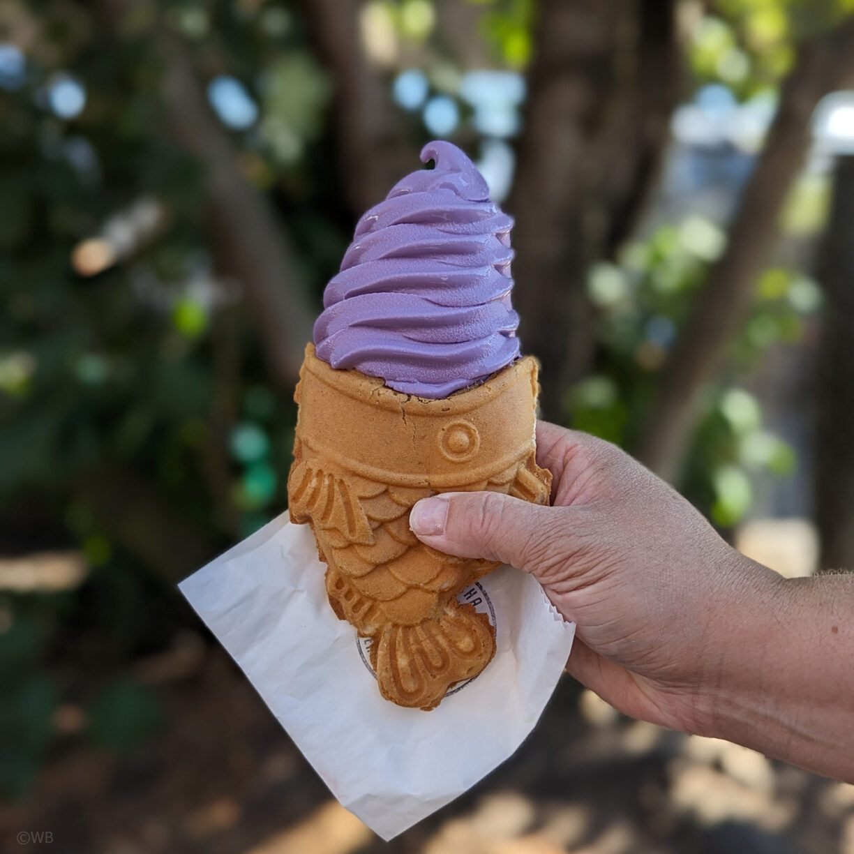Purple ube flavored ice cream in a fish flavored waffle cone.