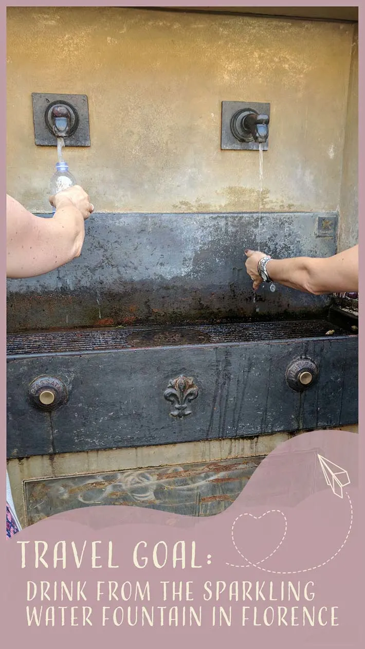 Behind the fountain of neptune in florence, italy sits a nondescript "nasone," or italian drinking fountain. Unlike most nasones, this fountain has a tap that flows with sparkling water- the result of a government push to reduce bottled water waste.