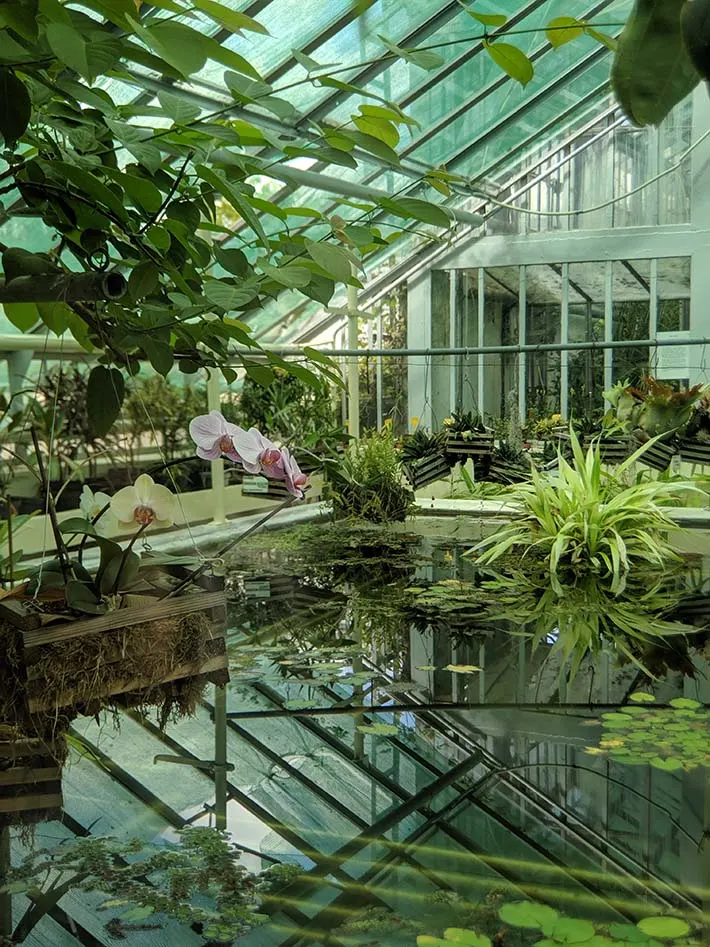 A garden in a botanical garden in romania