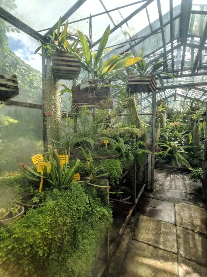 A greenhouse in transylvania.