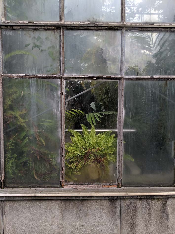 Plants growing in a botanical garden in a wild way