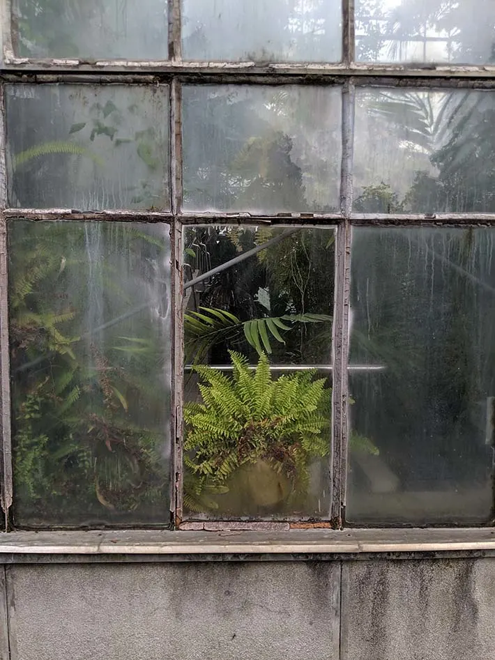 Plants growing in a botanical garden in a wild way