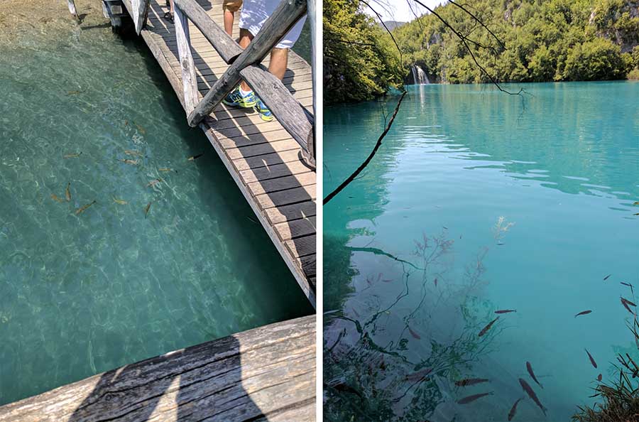 Tips for visiting plitvice park in a boyd with disabilities or chronic illness.